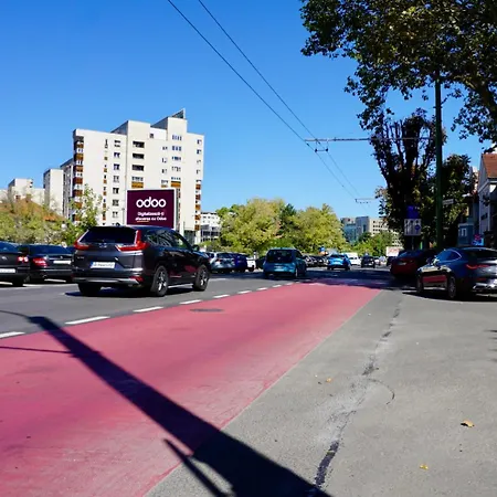 Chic And Sunny Downtown