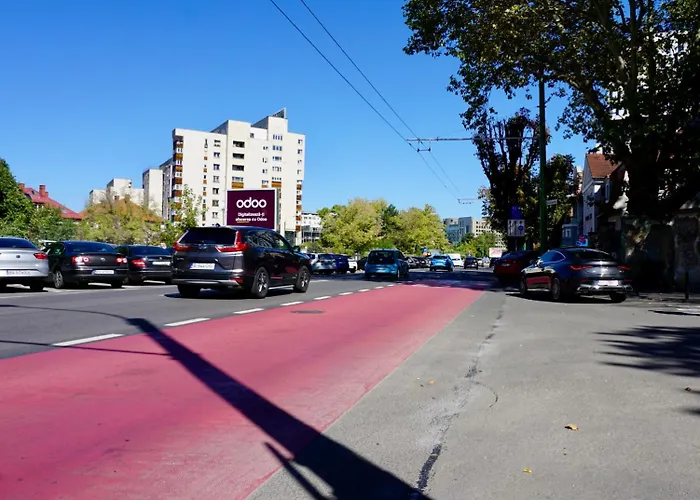 Chic And Sunny Downtown